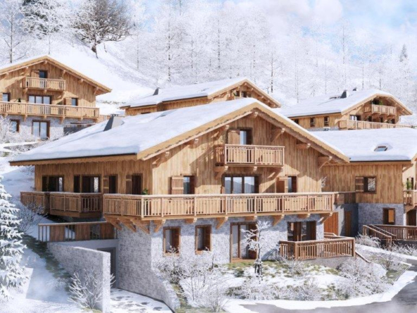 LES CHALETS DE JAYSINIA