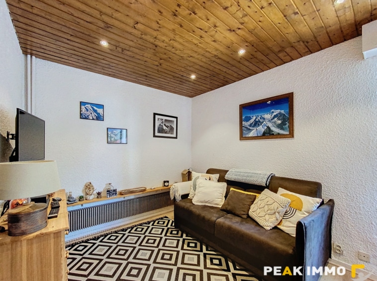 Appartement 2 pièces 36,64 m2 - Chamonix