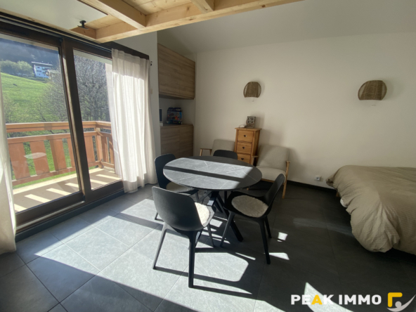 Studio mezzanine - 23m2 Loi Carrez - Megève