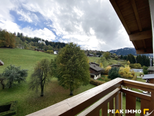 Studio mezzanine - 23m2 Loi Carrez - Megève