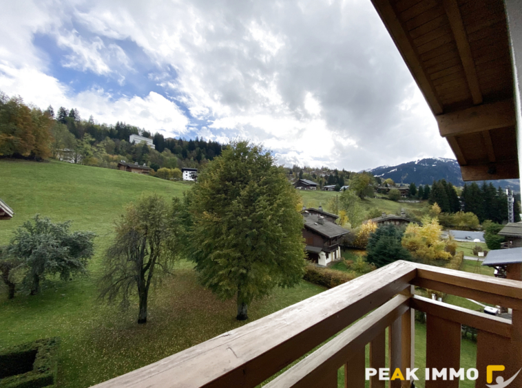 Studio mezzanine - 23m2 Loi Carrez - Megève