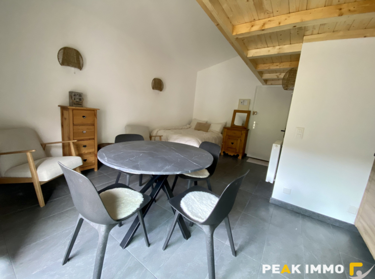 Studio mezzanine - 23m2 Loi Carrez - Megève