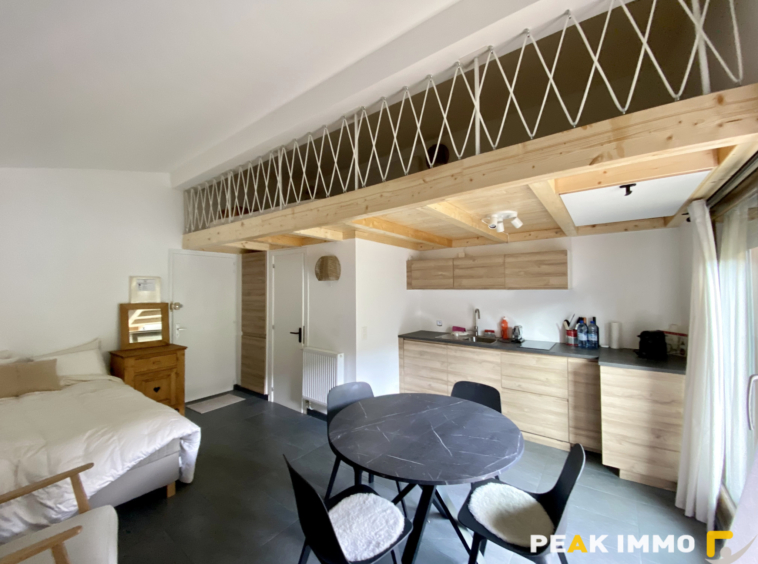 Studio mezzanine - 23m2 Loi Carrez - Megève