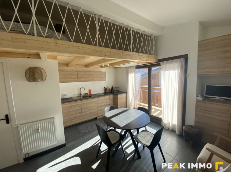 Studio mezzanine - 23m2 Loi Carrez - Megève