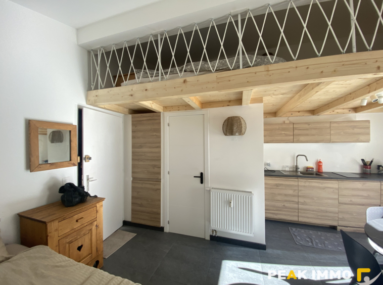 Studio mezzanine - 23m2 Loi Carrez - Megève