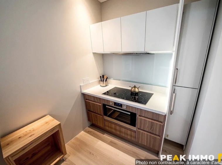 Appartement 4 pièces Duplex 97 m2 à Bonneville 74130