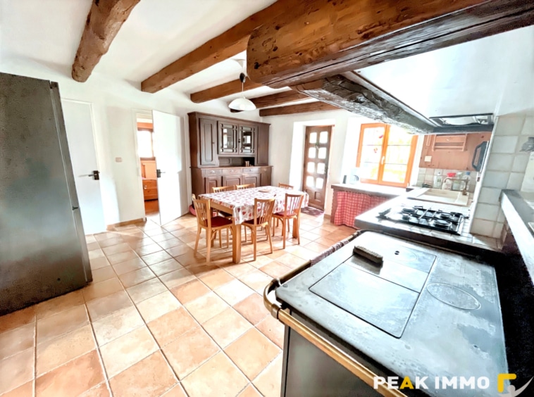 Authentique ferme de pays- 521 m2 utiles - Passy
