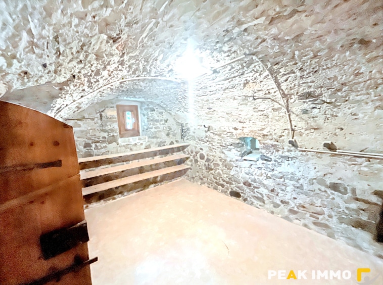 Authentique ferme de pays- 521 m2 utiles - Passy