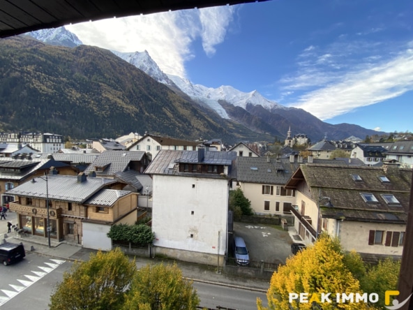 Appartement 2 pièces 36 m2 + 6 m2 loggia - Chamonix