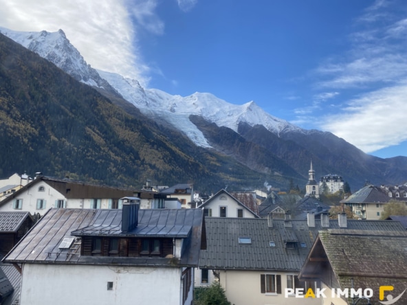 Appartement 2 pièces 36 m2 + 6 m2 loggia - Chamonix