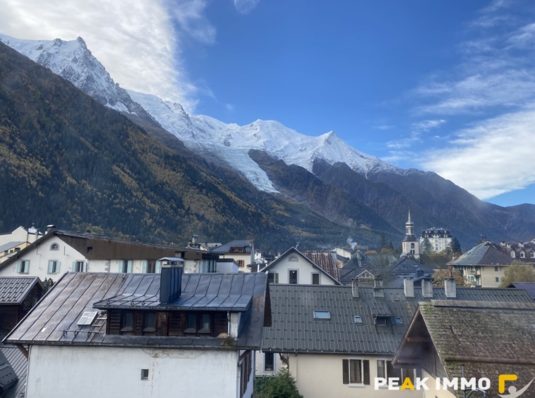 Appartement 2 pièces 36 m2 + 6 m2 loggia - Chamonix