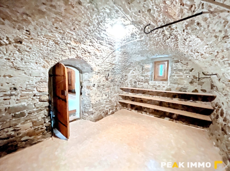 Authentique ferme de pays- 521 m2 utiles - Passy
