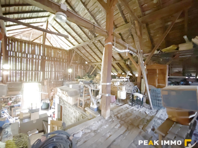 Authentique ferme de pays- 521 m2 utiles - Passy