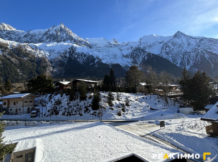 Appartement studio de 37 m2 - CHAMONIX-MONT-BLANC