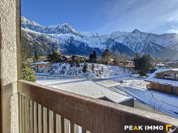 Appartement studio de 37 m2 - CHAMONIX-MONT-BLANC