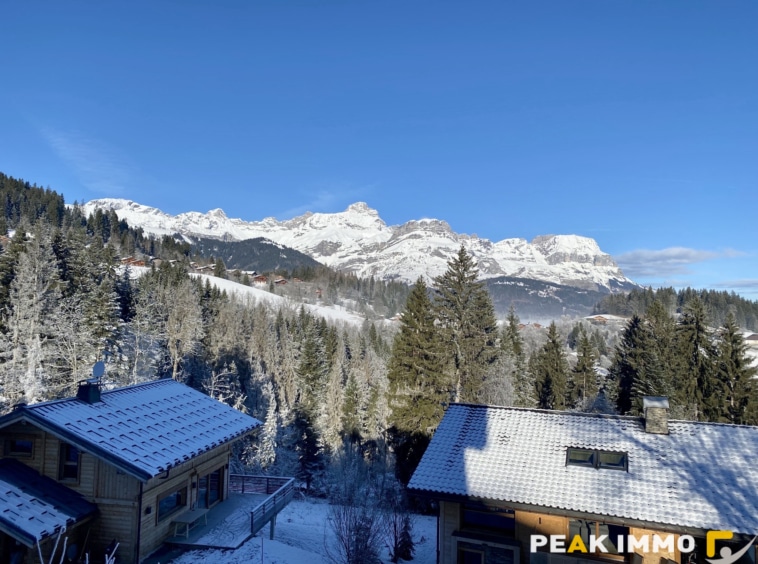 Appartement - Studio - 25.35 m2 - Combloux les pistes