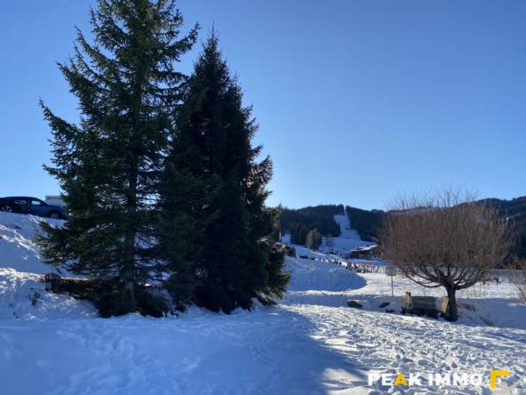 Studio cabine - 34.09 m2 - Combloux les pistes