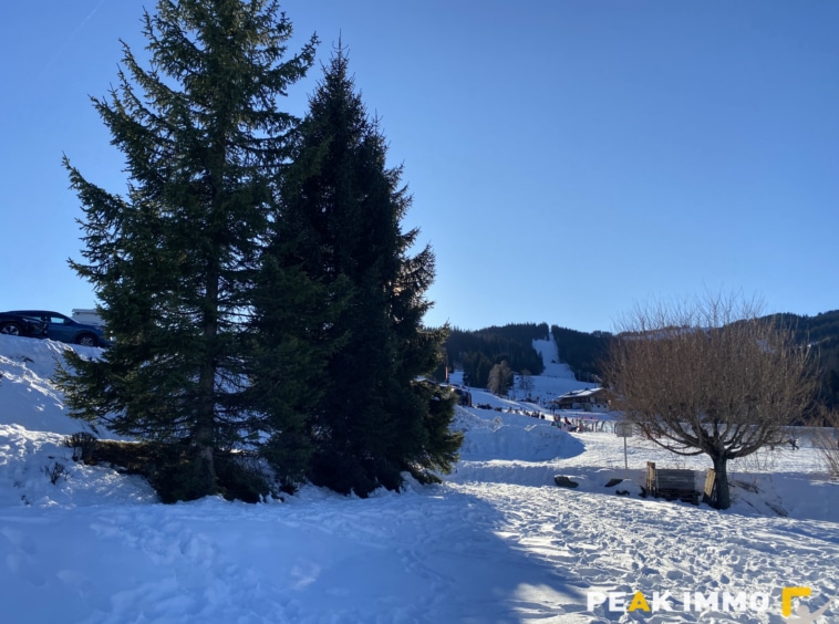 Studio cabine - 34.09 m2 - Combloux les pistes