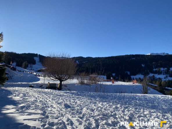 Studio cabine - 34.09 m2 - Combloux les pistes