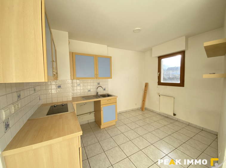 Appartement 2 pièces 50,19m2 Sallanches