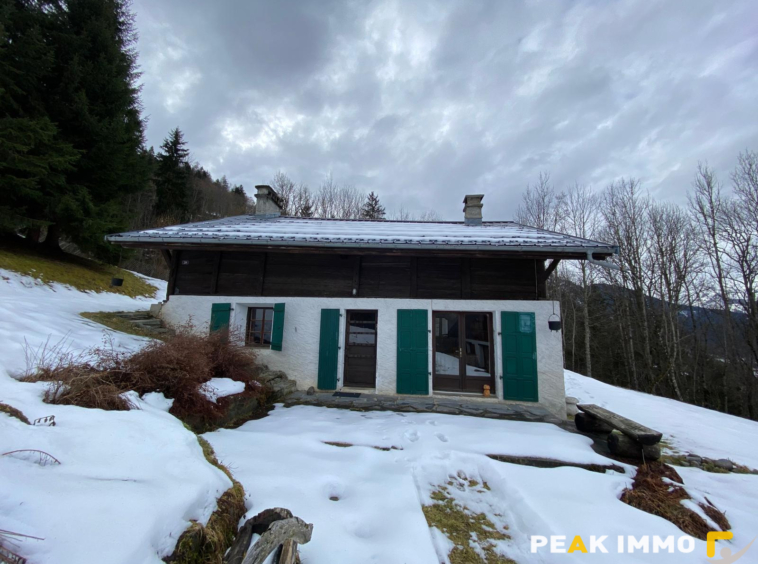 Chalet 6 pièces 170 m2 - Les Houches