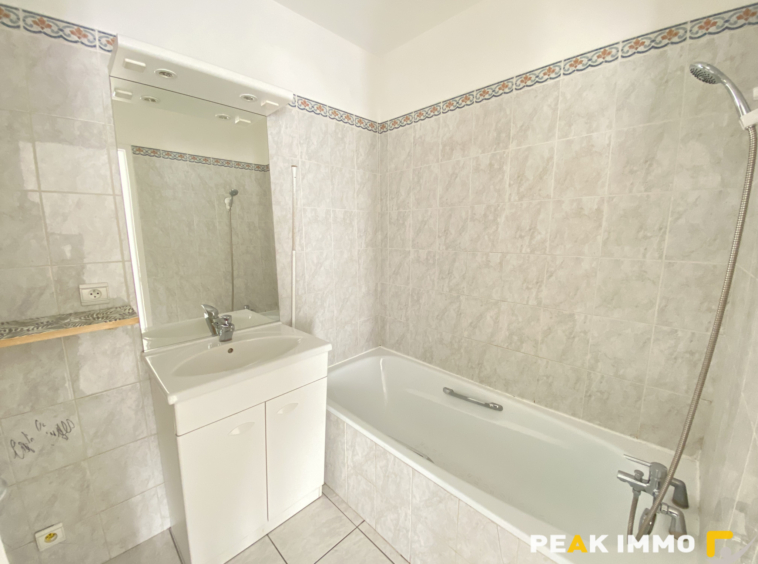 Appartement 2 pièces 50,19m2 Sallanches