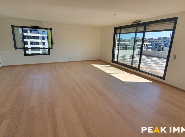 Appartement T6 - 208m2 - 01630 Saint-Genis-Pouilly