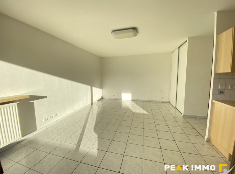 Appartement 2 pièces 50,19m2 Sallanches