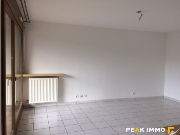 Appartement 2 pièces 50,19m2 Sallanches