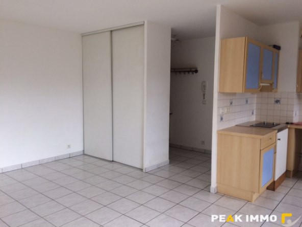 Appartement 2 pièces 50,19m2 Sallanches