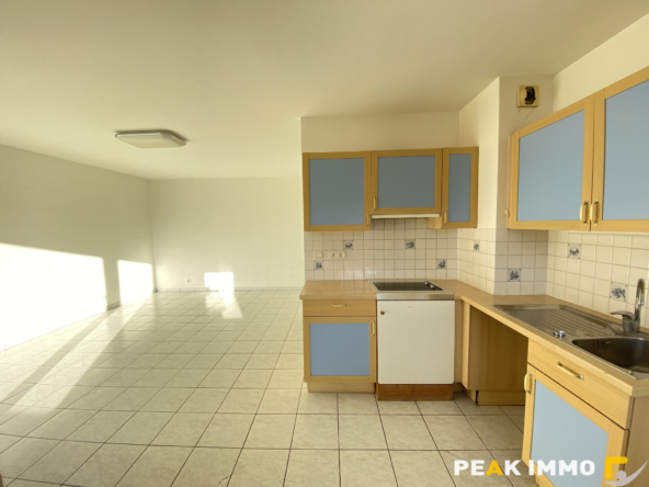 Appartement 2 pièces 50,19m2 Sallanches