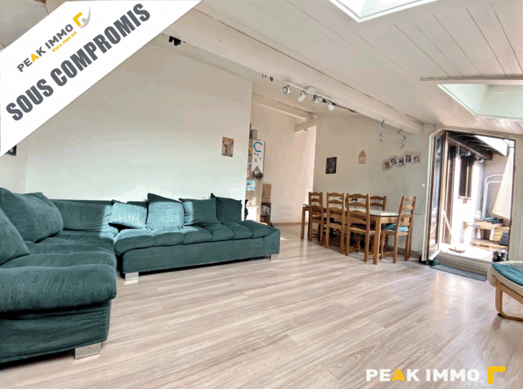 Appartement 3 pièces duplex 70 m2 utiles - Saint Gervais les
