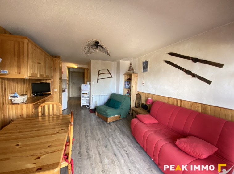 Appartement 1 pièce 29m2 Combloux