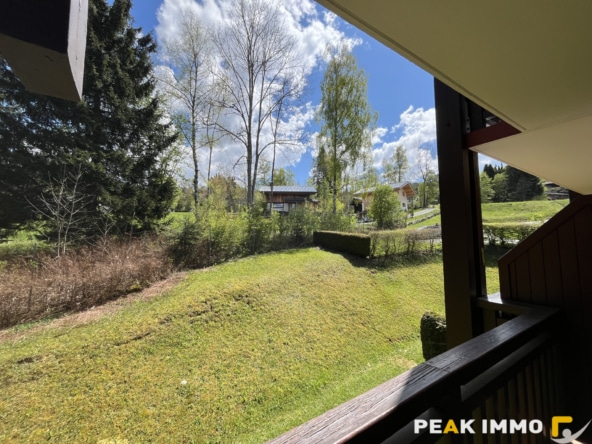 Studio Cabine - 19 m2 - Combloux la Cry
