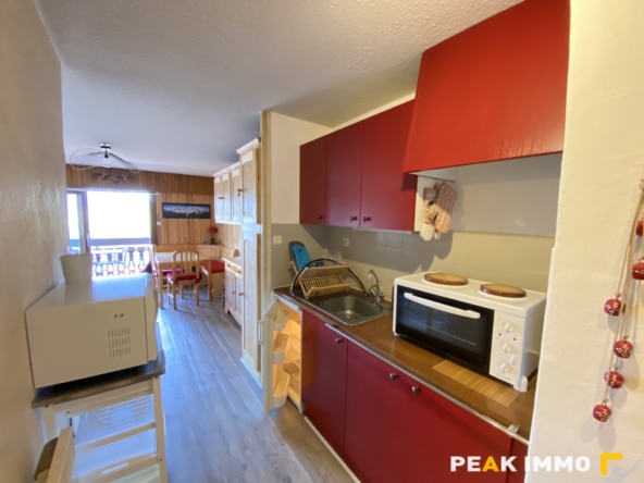 Appartement 1 pièce 29m2 Combloux