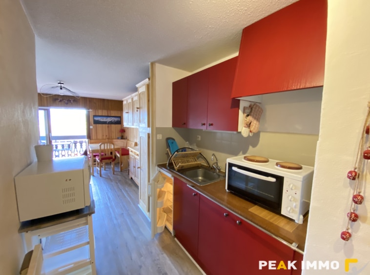 Appartement 1 pièce 29m2 Combloux