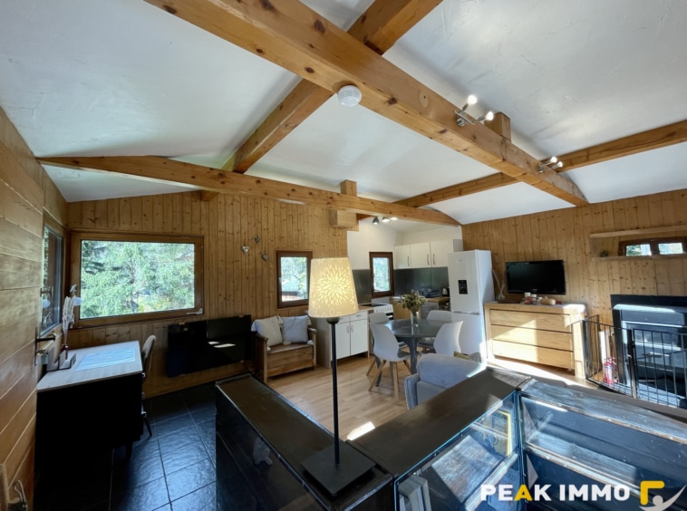 Chalet 3 pièces 60 m2 - Chamonix