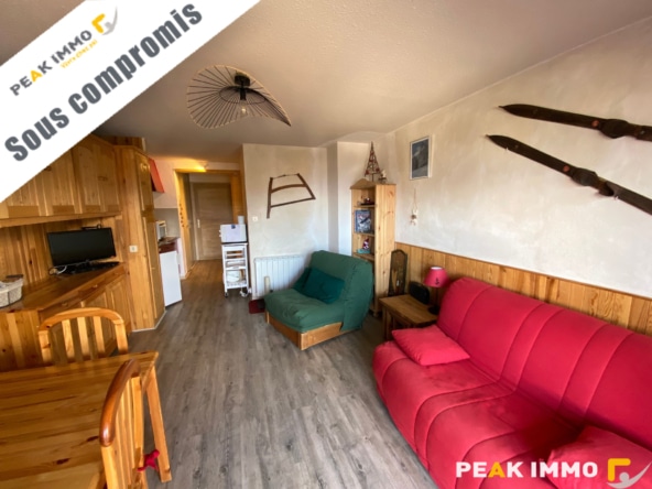 Appartement 1 pièce 29m2 Combloux