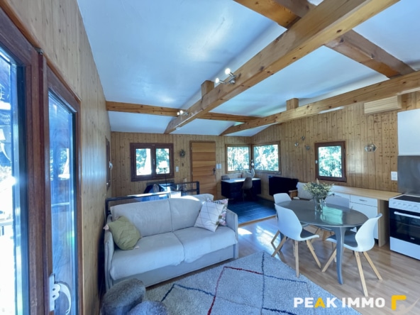 Chalet 3 pièces 60 m2 - Chamonix