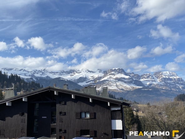 Appartement 1 pièce 29m2 Combloux
