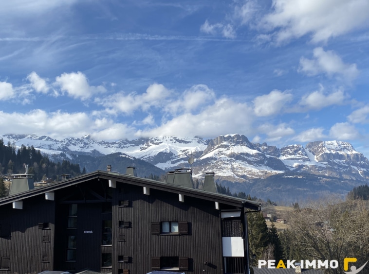 Appartement 1 pièce 29m2 Combloux