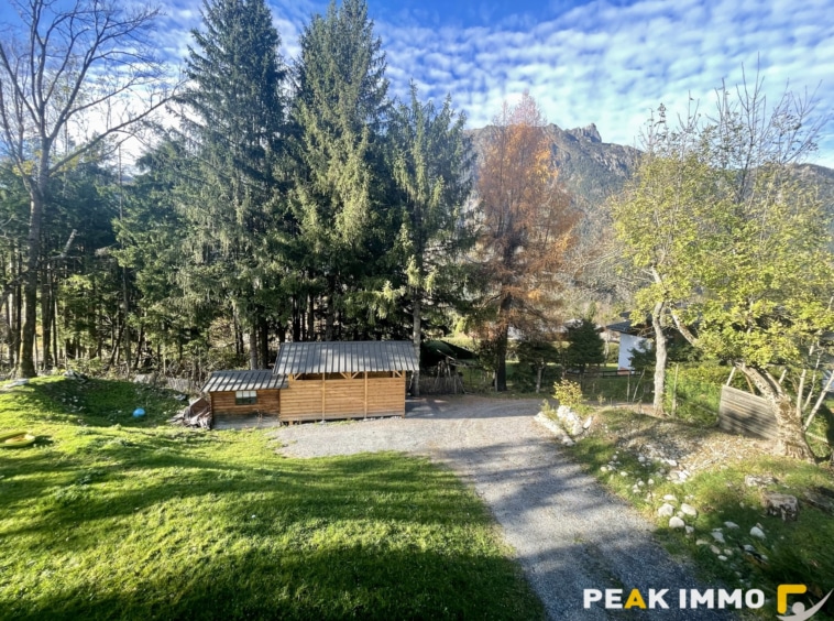 Chalet 3 pièces 60 m2 - Chamonix