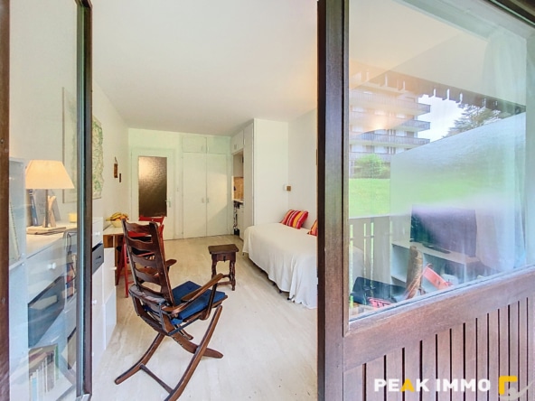 Studio 23,5 m2 - CHAMONIX MONT BLANC