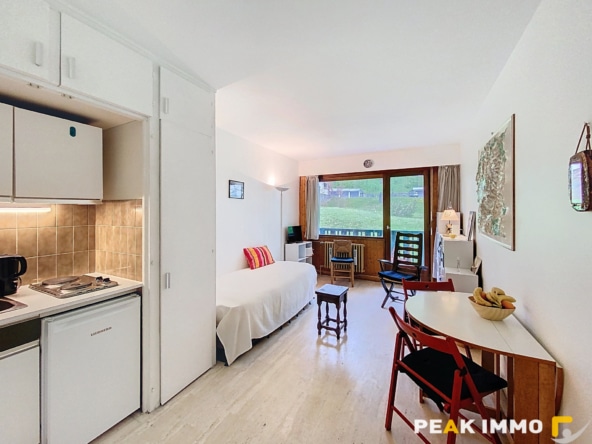 Studio 23,5 m2 - CHAMONIX MONT BLANC