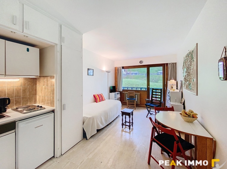 Studio 23,5 m2 - CHAMONIX MONT BLANC
