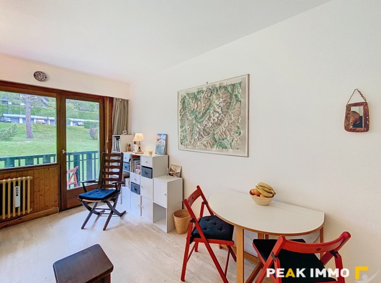 Studio 23,5 m2 - CHAMONIX MONT BLANC