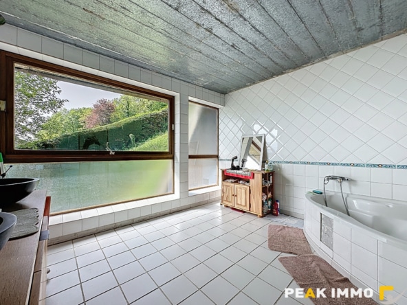 Maison 6 pièces - 320 m2 - Rumilly