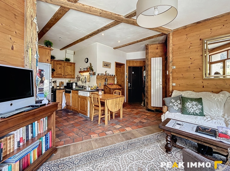 Appartement 3 pièces 51 m2 - Chamonix-Mont-Blanc