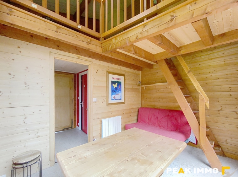 Demi chalet 35 m2 utiles - Chamonix-Mont-Blanc