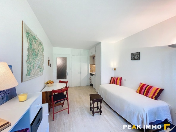 Studio 23,5 m2 - CHAMONIX MONT BLANC